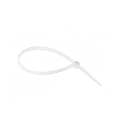 Nylon cable tie